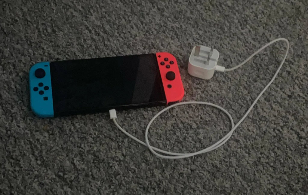 can-i-use-this-on-my-switch